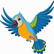illustration of Cartoon funny macaw flying 7915442 Vector Art at Vecteezy