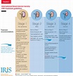 Figure 5 from A Practical Approach to Using the IRIS CKD Guidelines and ...