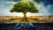 Scientia potentia est: The Tree of Life: The source of eternal Life and ...