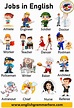 Jobs and Occupations Names with Pictures in English - English Grammar Here