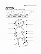 Parts Of The Body Worksheets For Grade 1