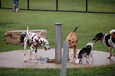 Dog Parks | Streamwood Park District