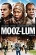 Mooz-lum - Rotten Tomatoes