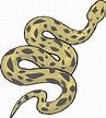 Anaconda PNG transparent image download, size: 647x720px