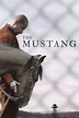 "THE MUSTANG" UNA HISTORIA DESAFIANTE - GRAN ESTRENO 9 DE ABRIL