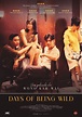 Days of being wild – Cines Embajadores