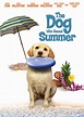 Best Buy: The Dog Who Saved Summer [DVD]