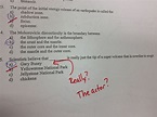 Exam Fails: Teacher Posts Hilarious Exam Answer On Reddit (PHOTO ...