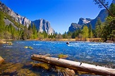 Yosemite merced river e half dome na califórnia | Foto Premium