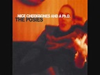 The Posies - Nice Cheekbones And A Ph.D. | Releases | Discogs