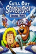 Chill Out, Scooby-Doo! (Video 2007) - IMDb