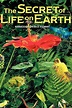 The Secret of Life on Earth (1993) - Posters — The Movie Database (TMDB)