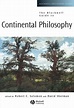 خرید و قیمت دانلود کتاب The Blackwell Guide to Continental Philosophy ...