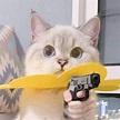 Cute cat holding a gun - Keep Meme