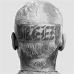 Chris Brown Reveals 'Breezy' Album Cover & Release Date - That Grape Juice