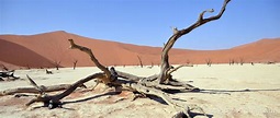 Deadvlei, el Valle de la muerte namibio