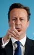 Il primo ministro inglese David Cameron - Primopiano - Ansa.it
