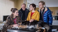 Filme im Ersten: Und wer nimmt den Hund? | ARD Mediathek