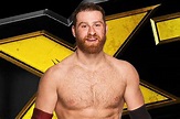 WWE NXT live results (Dec. 23, 2015): Sami Zayn returns in London ...