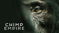 Chimp Empire - Netflix Reality Series - Where To Watch