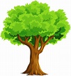Cartoon tree clipart. Free download transparent .PNG | Creazilla