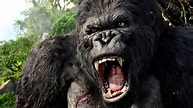 King Kong Review – Narik Chase