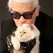 Karl Lagerfeld's Cat Choupette's Makeup Line | Video | POPSUGAR Fashion