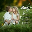 Brother And Sister Love Quotes - Quotes