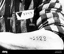 Auschwitz Concentration Camp Tattoo Stockfotos und -bilder Kaufen - Alamy