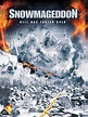 Snowmageddon (TV Movie 2011) - IMDb