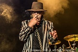 Udo Lindenberg live - Calwer Klostersommer Foto & Bild | konzert, musik ...