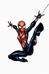 Spider Woman PNG Images Transparent Free Download | PNGMart