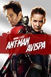 Ant-Man y la Avispa (2018) - Posters — The Movie Database (TMDb)