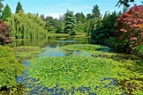 File:VanDusen Botanical Garden 3.jpg - Wikimedia Commons
