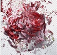 분홍색과 붉은 꽃, 꽃 그래퍼 폭발 공기 총, 깨진 꽃, 꽃꽂이, 꽃, 꽃들 png | PNGWing