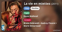 La vie en miettes (film, 2011) - FilmVandaag.nl