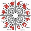 Sinbolo zodiacos chino en 2020 | Signos del zodiaco chino, Horoscopo ...