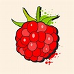 Raspberry Sketch Vector Ready For Your Design, Greeting Card 633954 ...