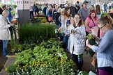10 Photos From Flower Day At Eastern Market | Detroit, MI Patch