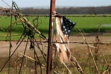 Broken Flag Stock Photo - Download Image Now - American Flag, Torn ...