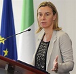 Statement by Federica Mogherini on the Law on Specialist Chambers and ...
