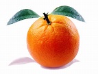 Orange Citrus Fruit · Free photo on Pixabay