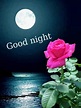 Good Night Pictures, Images, Graphics