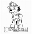 Patrulla Canina Marshall para colorear, imprimir e dibujar – Dibujos ...