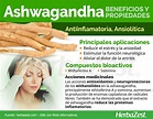 Ashwagandha | HerbaZest
