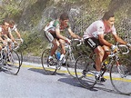 Giuseppe Saronni: storia del ciclista professionista
