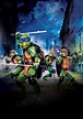 Teenage Mutant Ninja Turtles (1990) Picture - Image Abyss