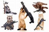 Cats-with-Guns - Mark Franklin Arts Mark Franklin Arts