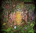 Oliver Koletzki: Fire In The Jungle (CD) – jpc