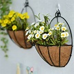 Windfall Metal Hanging Planter Basket Round Wire Plant Holder With ...